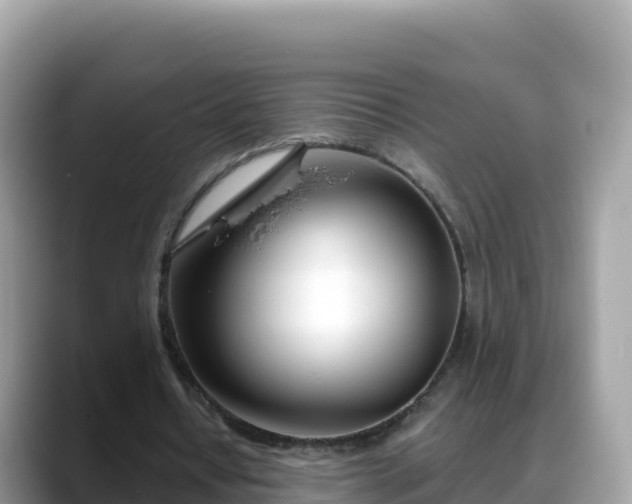 X0000088710434200706071603