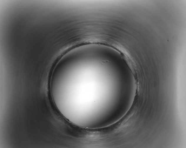 X0000088710438200706071603