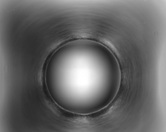 X0000088710439200706071603