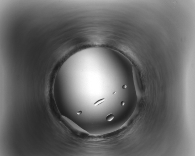 X0000088710440200706071603