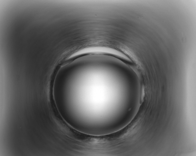 X0000088710442200706071603