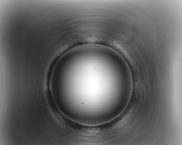 X0000088710443200706071603