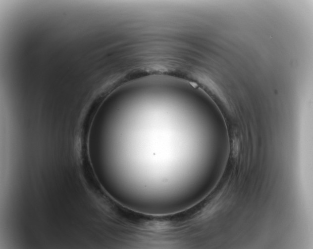 X0000088710444200706071603