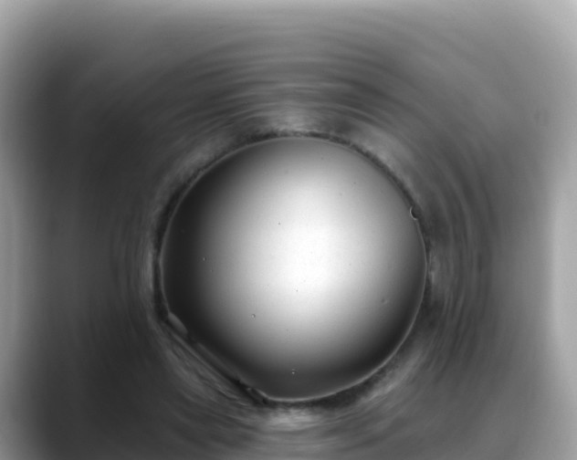 X0000088710445200706071603