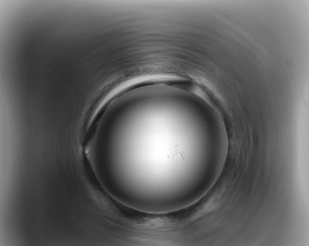 X0000088710446200706071603