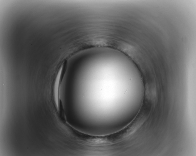 X0000088710449200706071603