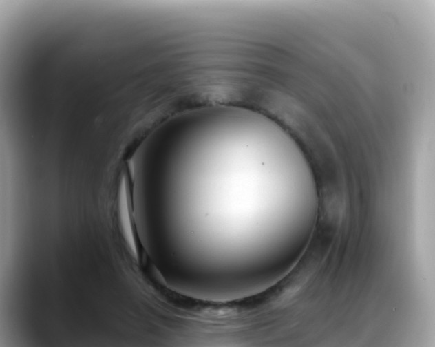 X0000088710450200706071603