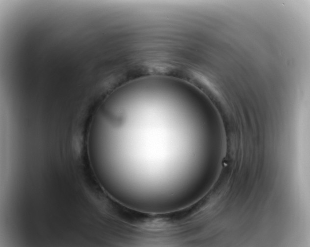 X0000088710451200706071603