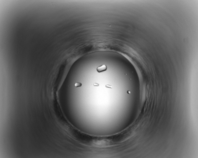 X0000088710452200706071603