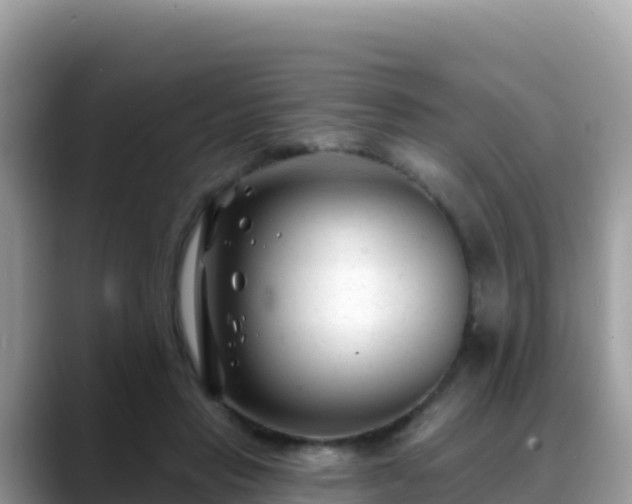 X0000088710453200706071603