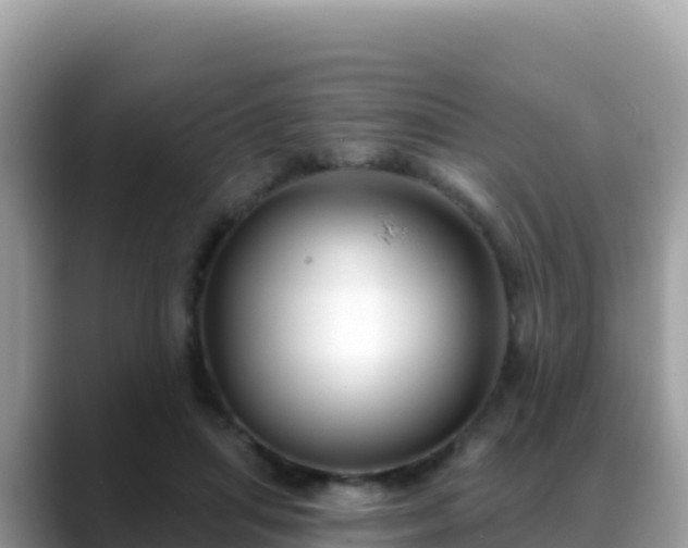 X0000088710455200706071603