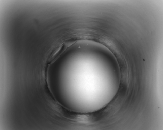 X0000088710457200706071603