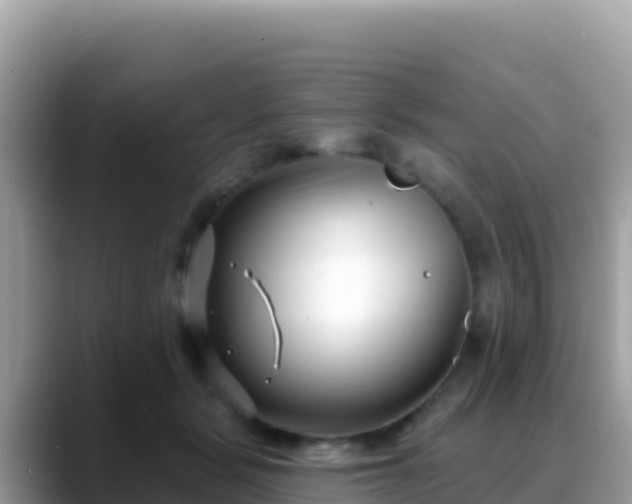 X0000088710461200706071603