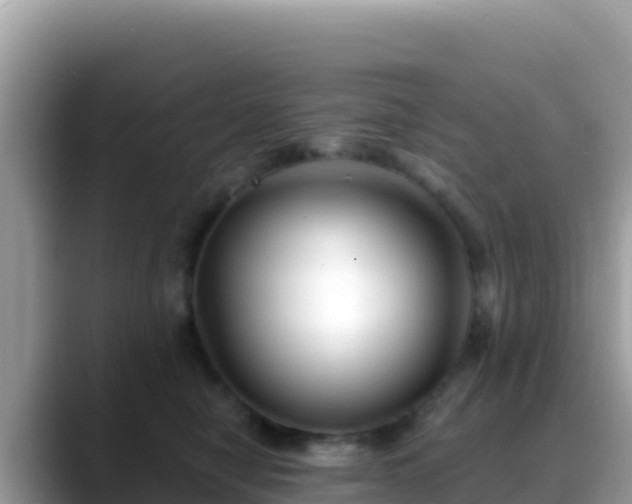 X0000088710470200706071603