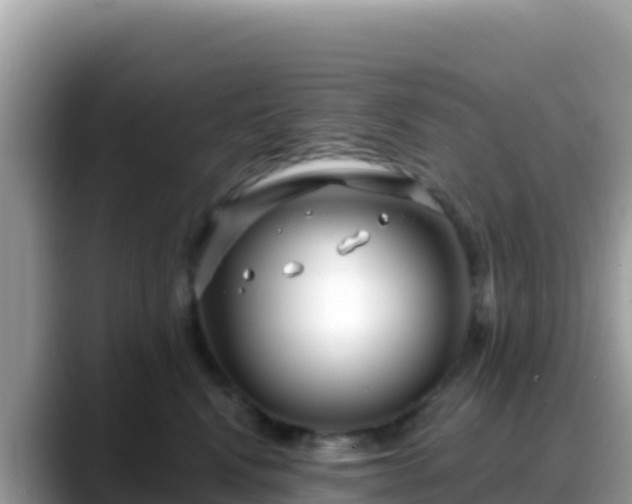 X0000088710472200706071603