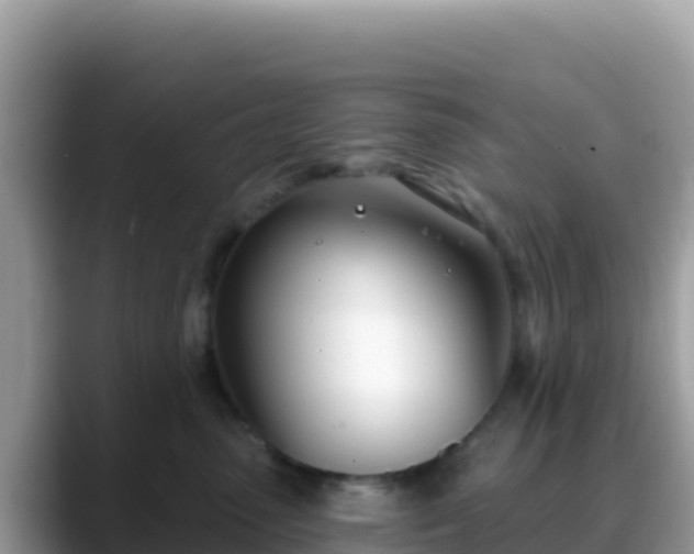 X0000088710475200706071603