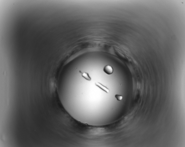 X0000088710476200706071603