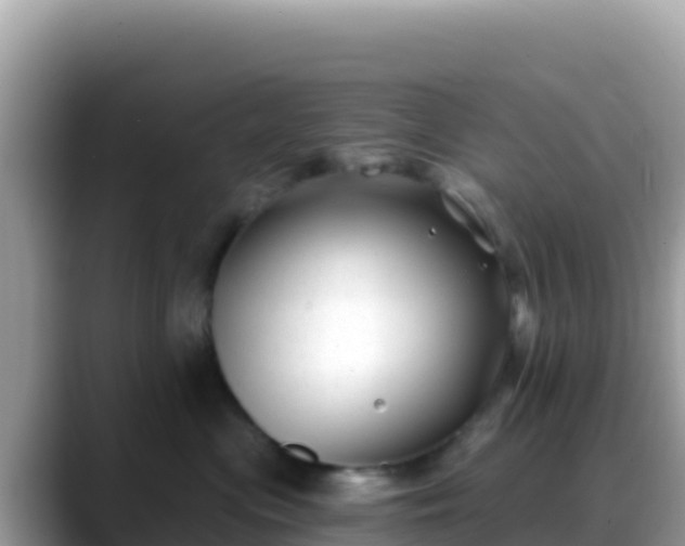 X0000088710477200706071603