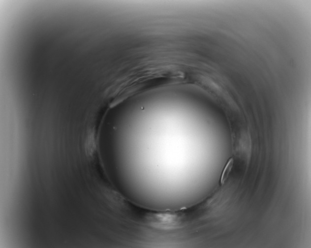 X0000088710478200706071603