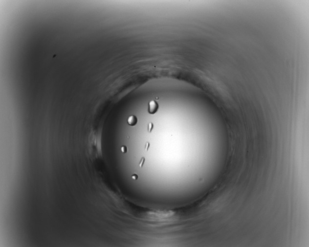 X0000088710480200706071603