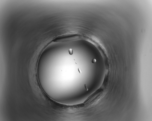 X0000088710481200706071603