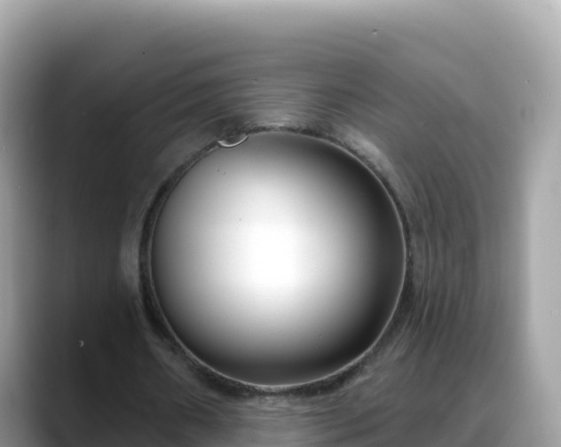 X0000088710482200706071603