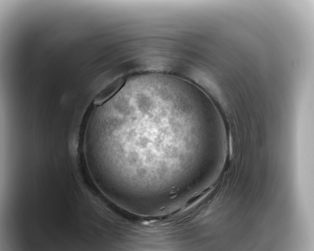 X0000088710483200706071603