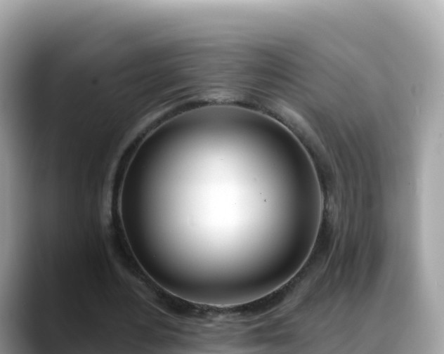 X0000088710484200706071603