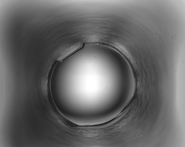 X0000088710485200706071603