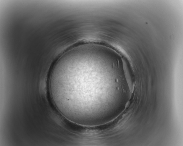 X0000088710487200706071603