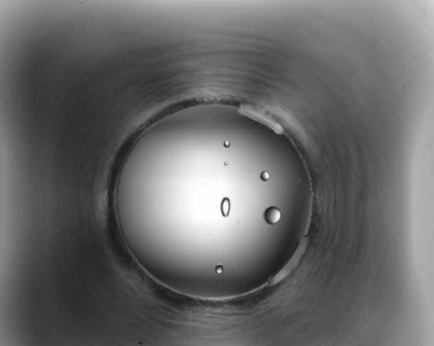 X0000088710488200706071603