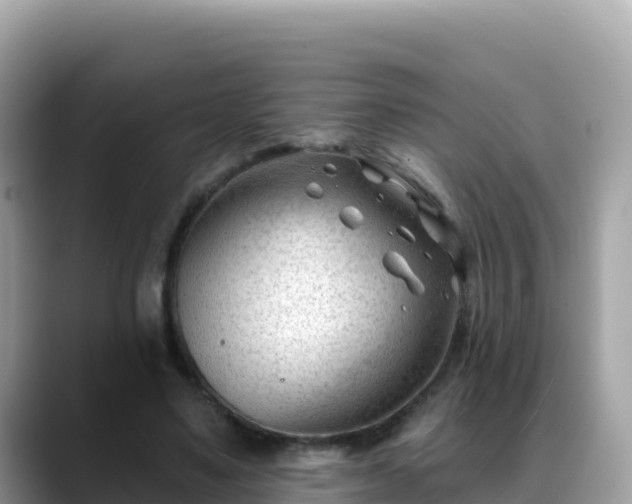 X0000088710491200706071603