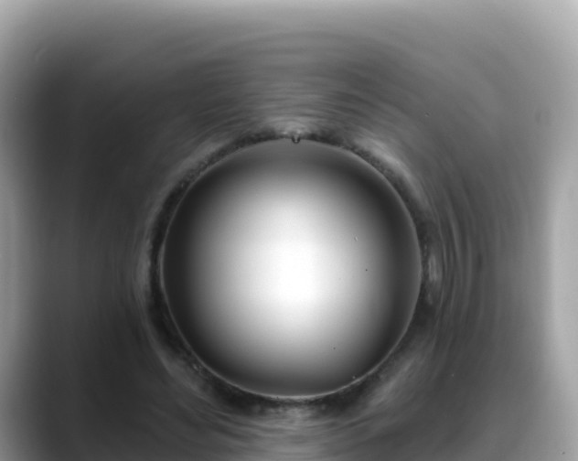 X0000088710492200706071603