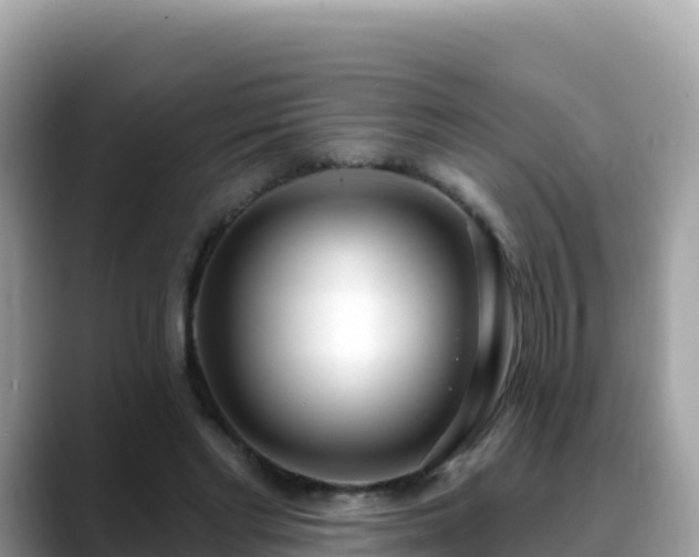 X0000088710493200706071603