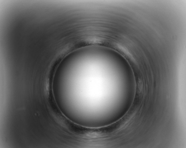 X0000088710494200706071603