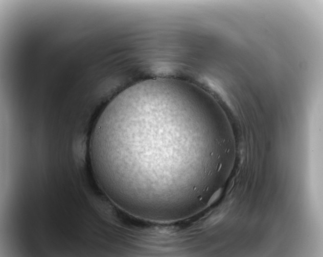 X0000088710495200706071602