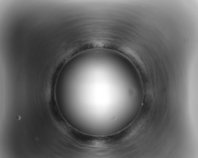 X0000088710496200706071602