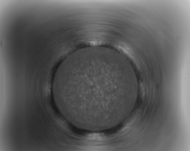 X0000088710499200706071602