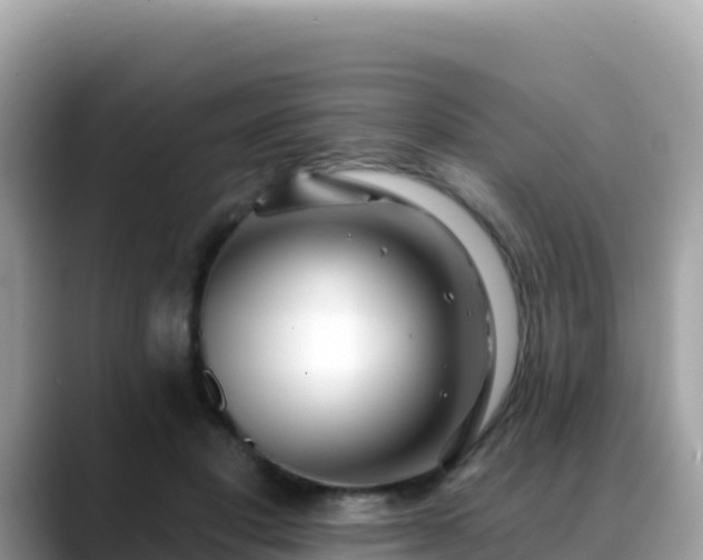 X0000088710501200706071602