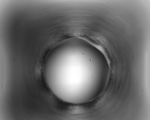 X0000088710503200706071602