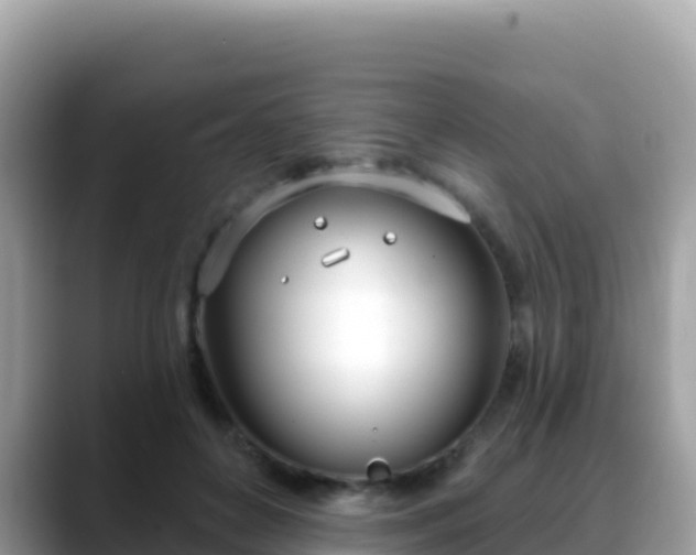 X0000088710504200706071602