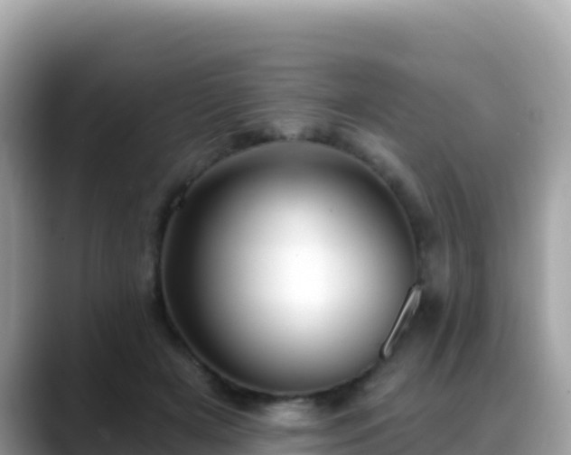 X0000088710505200706071602