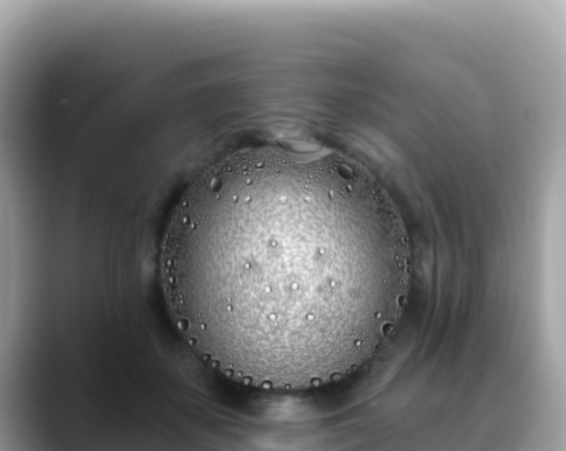 X0000088710507200706071602