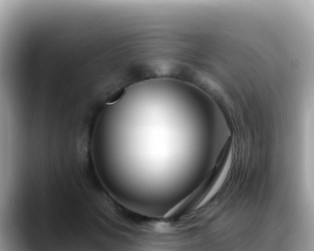 X0000088710509200706071602