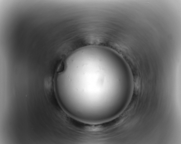 X0000088710511200706071602