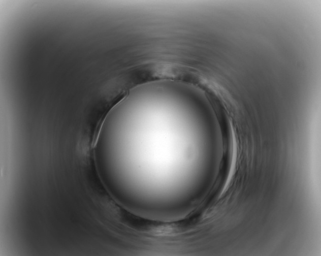 X0000088710513200706071602