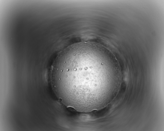 X0000088710519200706071602