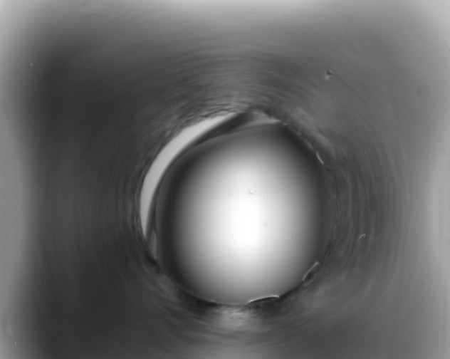 X0000088710528200706071602