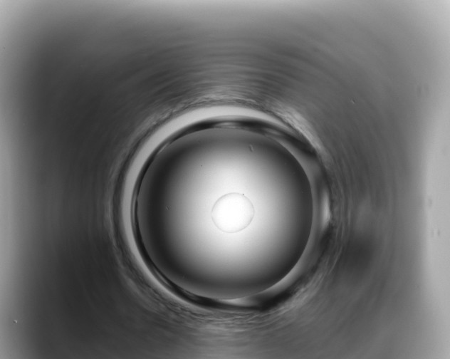 X0000088710530200706071601