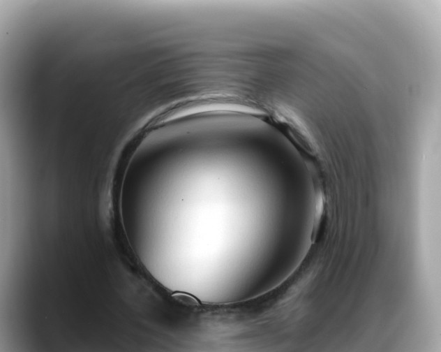 X0000088710532200706071601